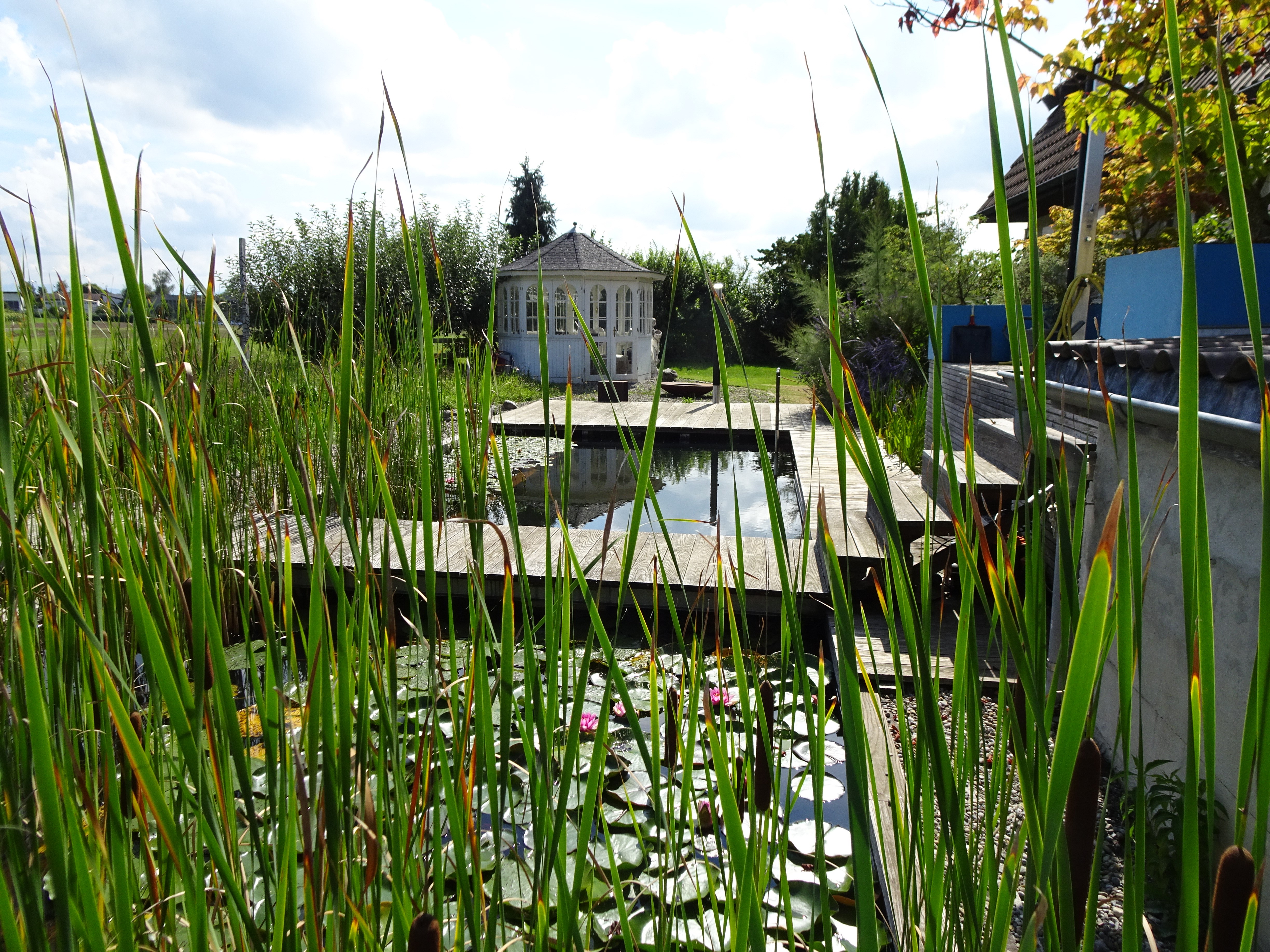 Schwimmteich